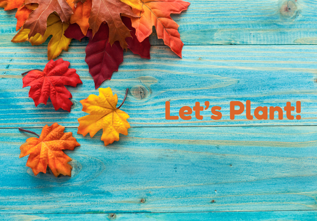Five Top Reasons to Plant in the Fall